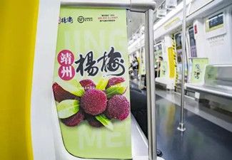 怀化竣州杨梅长沙地铁广告案例