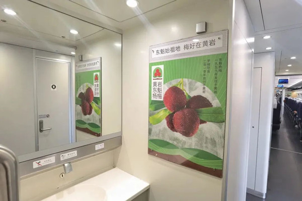 东魁杨梅高铁列车广告