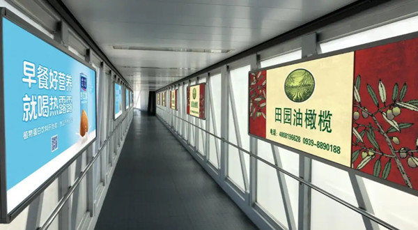 橄榄油机场廊桥广告