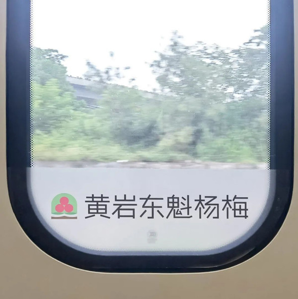 东魁杨梅高铁广告